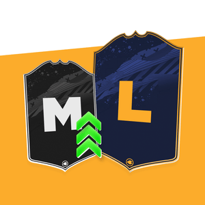 Upgrade To Large Card (Per Card)